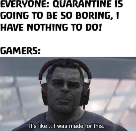 funny gaming memes --  gamers quarantine - Everyone Quarantine Is Going To Be So Boring, I Have Nothing To Do! Gamers It's ... I was made for this.