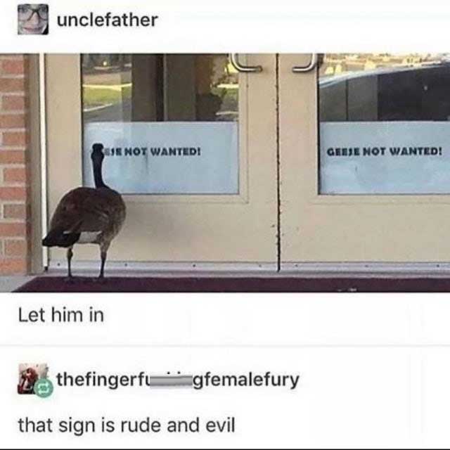 no geese wanted sign