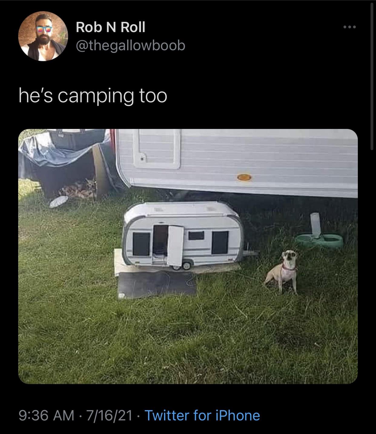 dank memes - tiny hawk meme - Rob N Roll he's camping too 71621 Twitter for iPhone