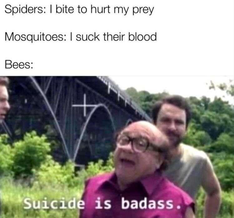 funny gaming memes -mcdonald's - Spiders I bite to hurt my prey Mosquitoes I suck their blood Bees Suicide is badass.