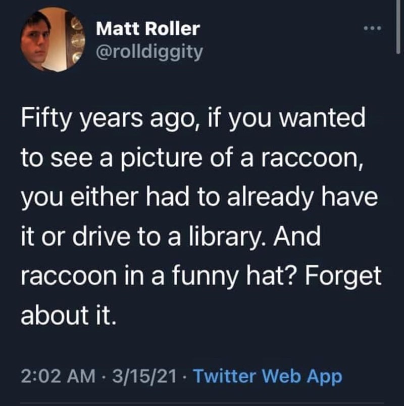 funny gaming memes -rachael daly and kristie mewis - Matt Roller Fifty years ago, if you wanted to see a picture of a raccoon, you either had to already have it or drive to a library. And raccoon in a funny hat? Forget about it. 31521 Twitter Web App