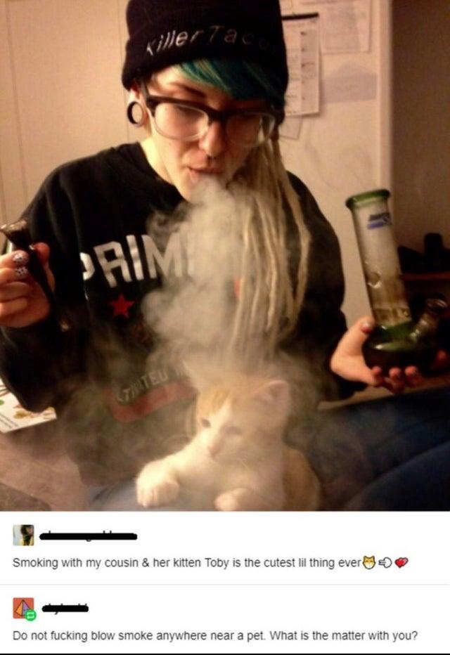 vaping cat pfp - killer 7ac. Prim Cateu Smoking with my cousin & her kitten Toby is the cutest lil thing ever Do not fucking blow smoke anywhere near a pet. What is the matter with you?