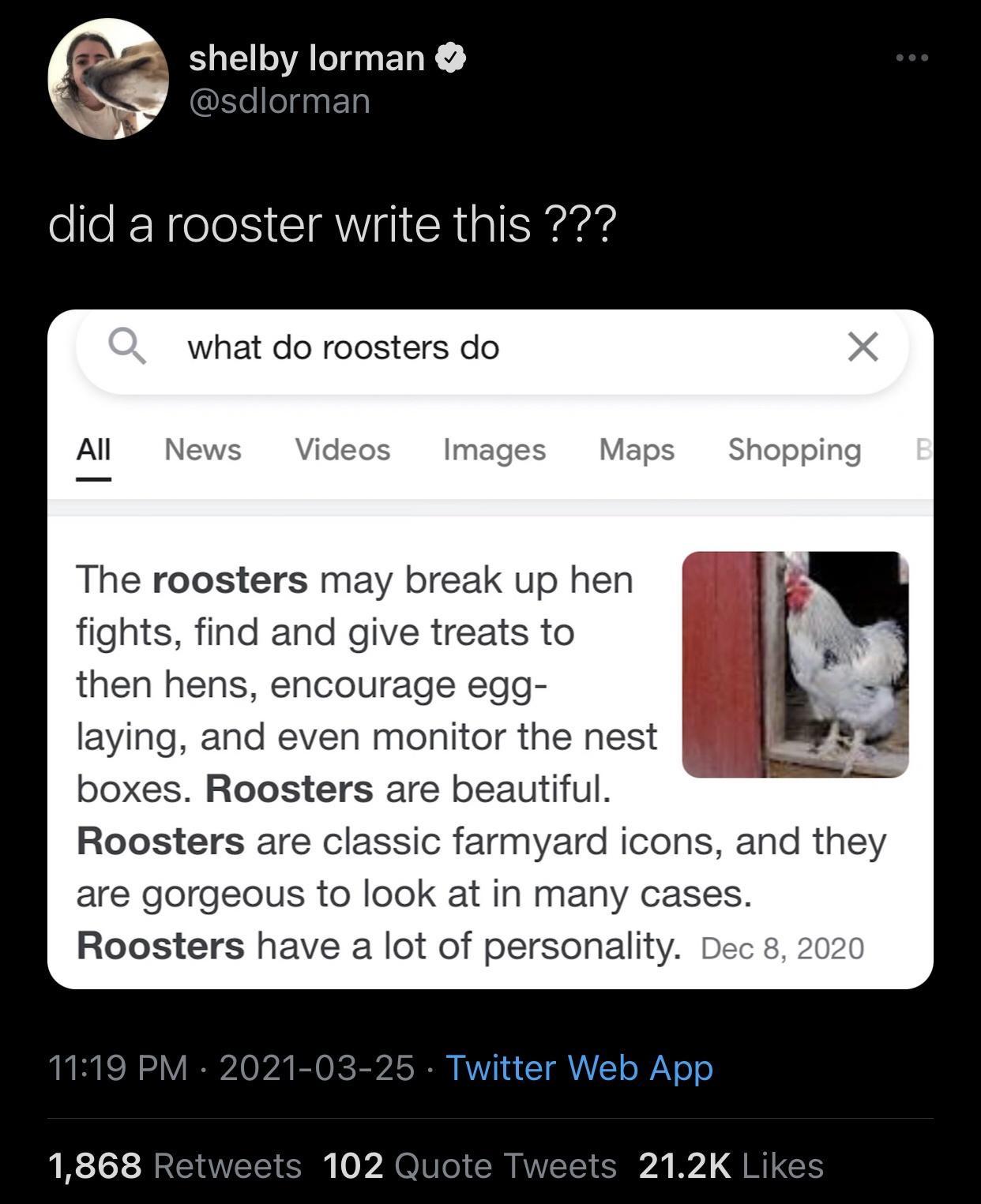 monday morning randomness - screenshot - shelby lorman did a rooster write this ??? what do roosters do All News Videos Images Maps Shopping B The roosters may break up hen fights, find and give treats to then hens, encourage egg laying, and even monitor 