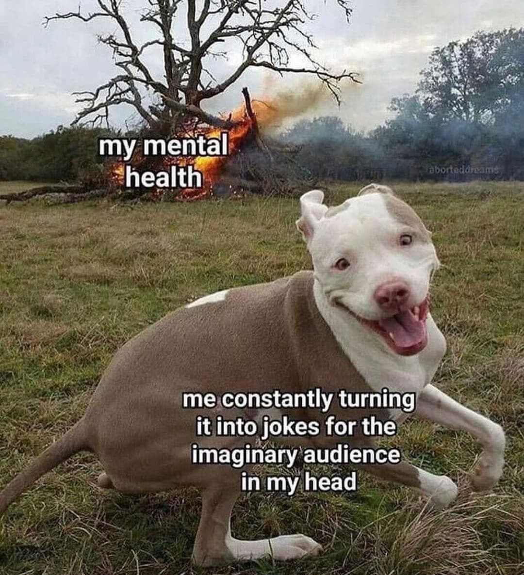 monday morning randomness - mental health memes funny - my mental health aborted dreams me constantly turning it into jokes for the imaginary audience in my head