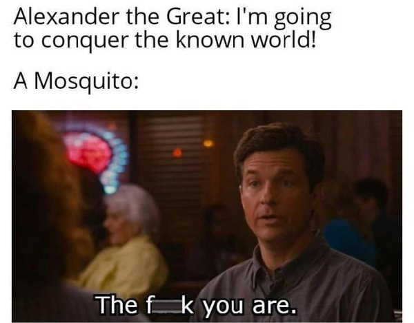 jason bateman meme - Alexander the Great I'm going to conquer the known world! A Mosquito The fk you are.