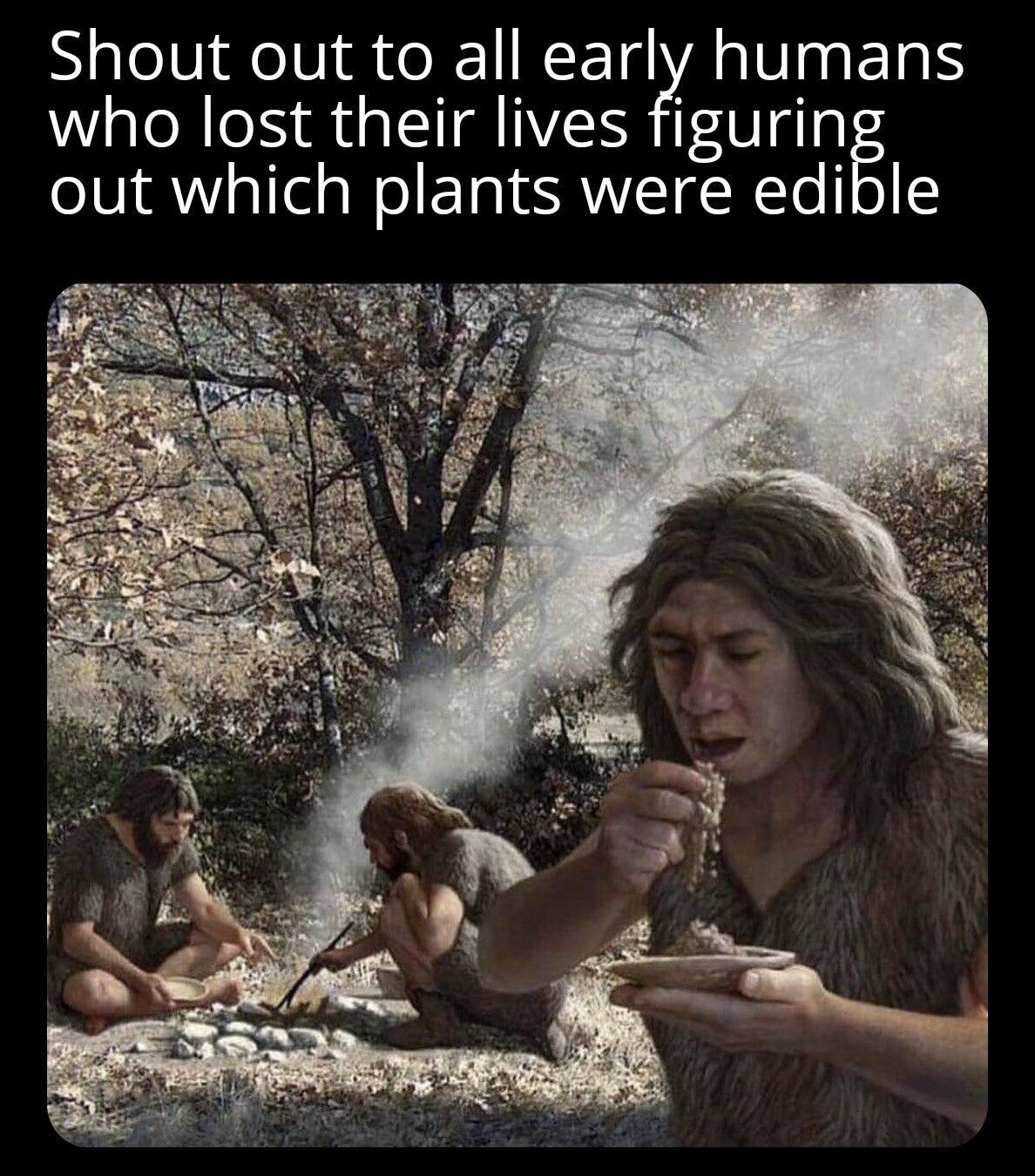 our ancestors - Shout out to all early humans who lost their lives figuring out which plants were edible