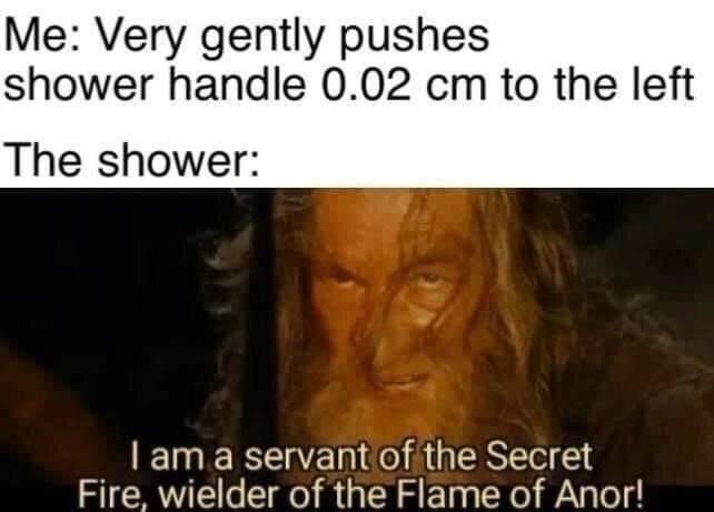 so you have chosen death memes - Me Very gently pushes shower handle 0.02 cm to the left The shower I am a servant of the Secret Fire, wielder of the Flame of Anor!