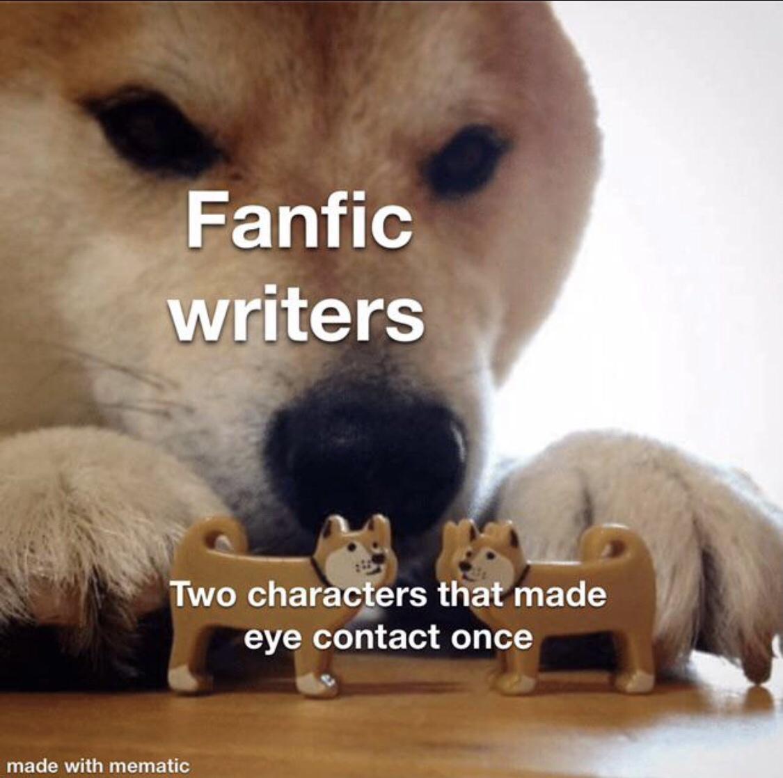 now kiss meme dog - Fanfic writers Two characters that made eye contact once made with mematic