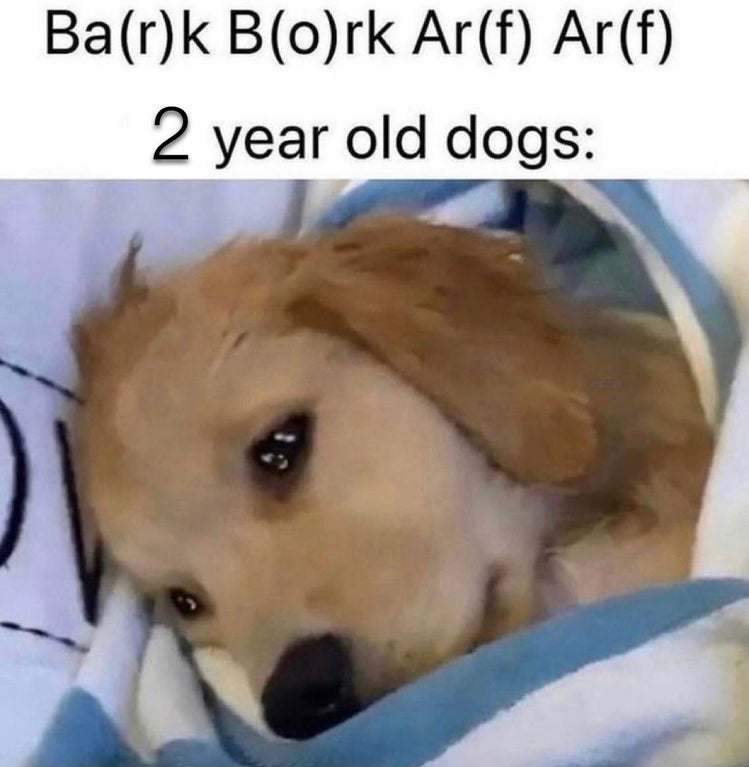 funny dank memes - so deep 14 year olds - Bark Bork Arf Arf 2 year old dogs