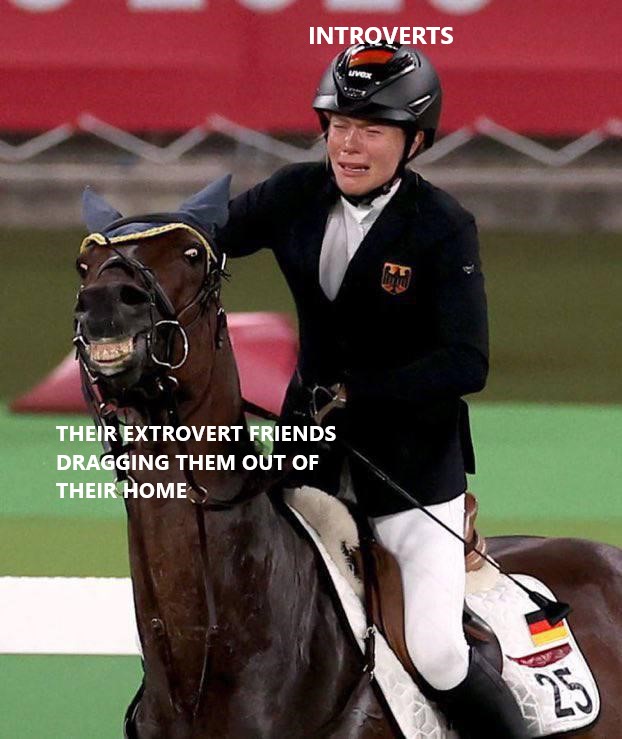 funny dank memes - Modern pentathlon - Introverts med Their Extrovert Friends Dragging Them Out Of Their Home Da