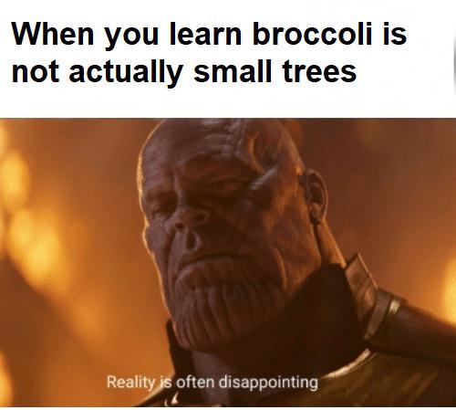 funny dank memes - roblox girlfriend memes - When you learn broccoli is not actually small trees Reality is often disappointing