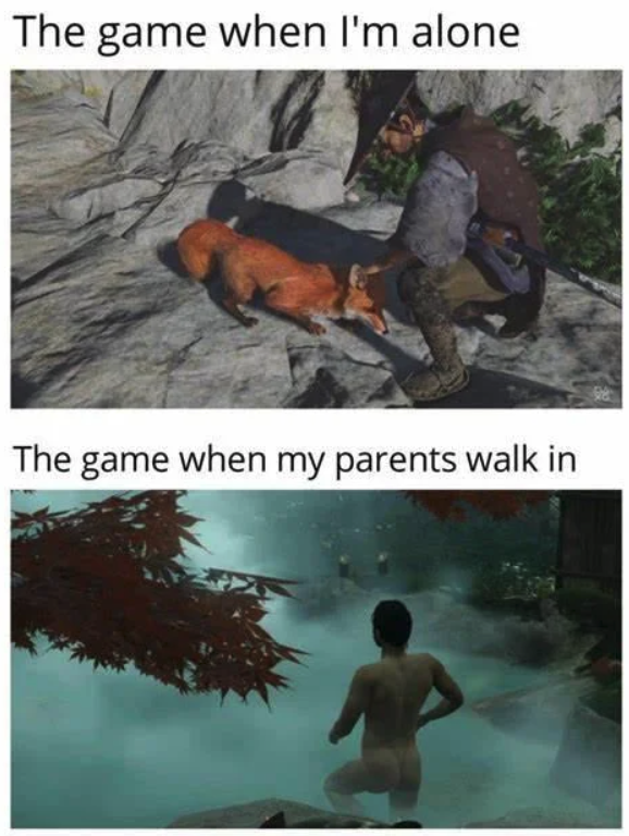 funny gaming memes - game when im alone the game - The game when I'm alone The game when my parents walk in