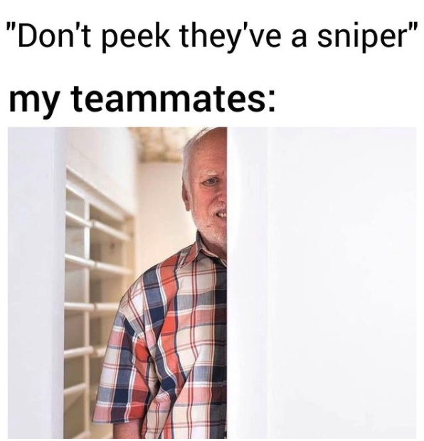 funny gaming memes - "Don't peek they've a sniper" my teammates