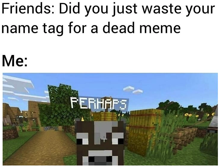 funny gaming memes - grass - Friends Did you just waste your name tag for a dead meme Me Perhaps