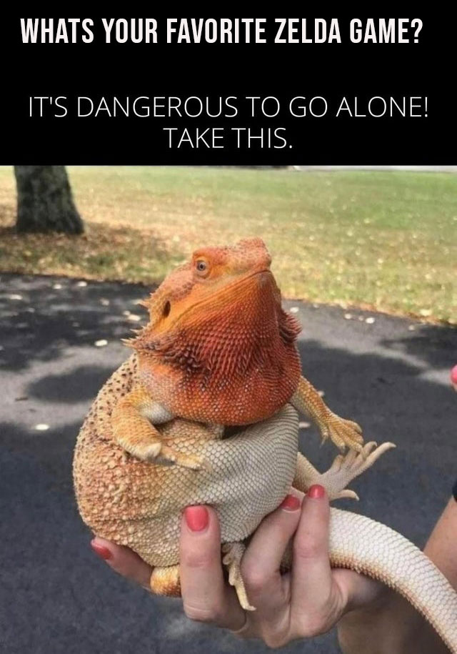 funny gaming memes - fat lizard - Whats Your Favorite Zelda Game? It'S Dangerous To Go Alone! Take This.