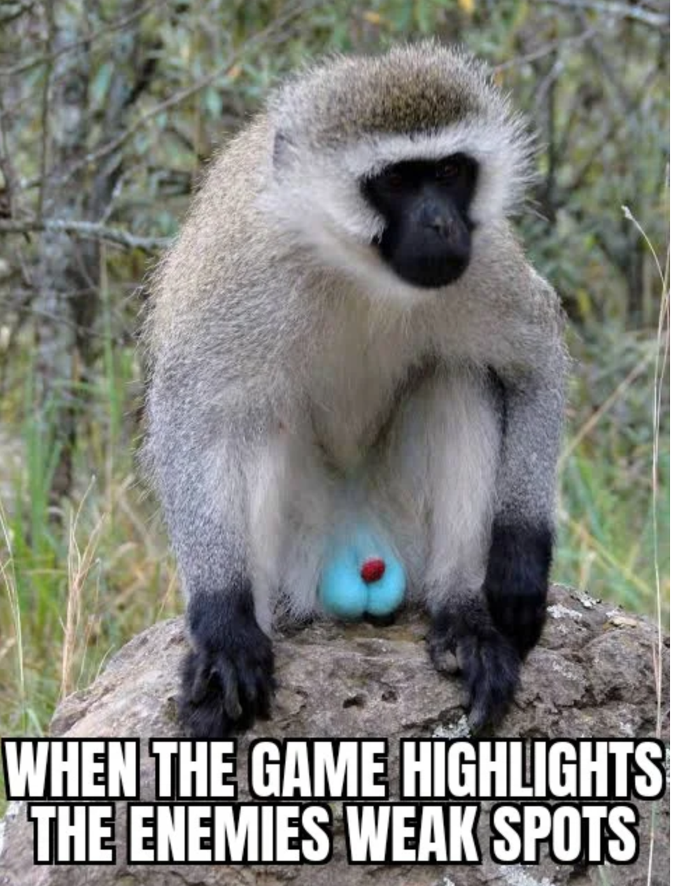 funny gaming memes - blue egg monkey - When The Game Highlights The Enemies Weak Spots