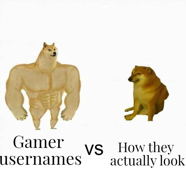funny gaming memes - can t you see i m a titan - Gamer Vs How they usernames actually look