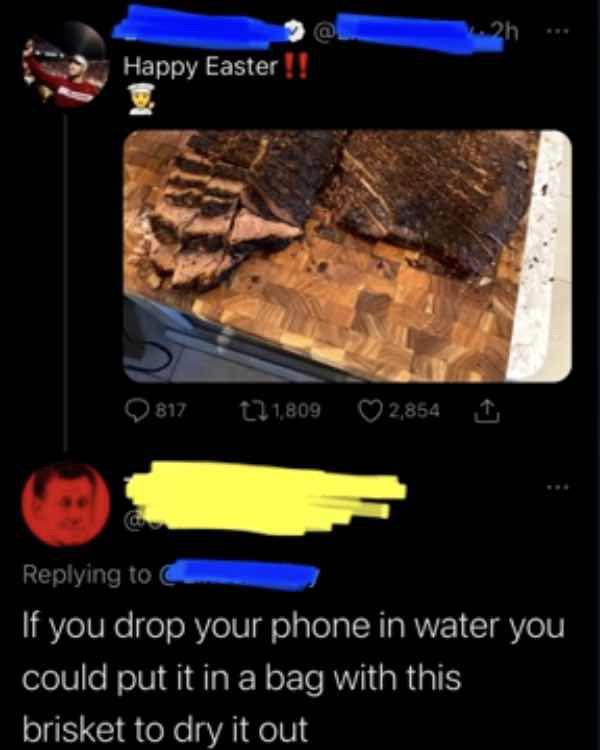 screenshot - 2h Happy Easter !! Q 817 tl 1,809 2,854 If you drop your phone in water you could put it in a bag with this brisket to dry it out