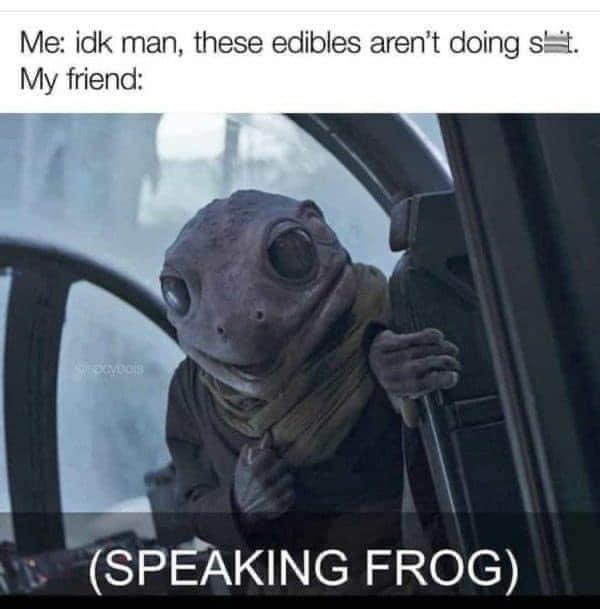 mandalorian plot meme - Me idk man, these edibles aren't doing My friend De Vba Speaking Frog