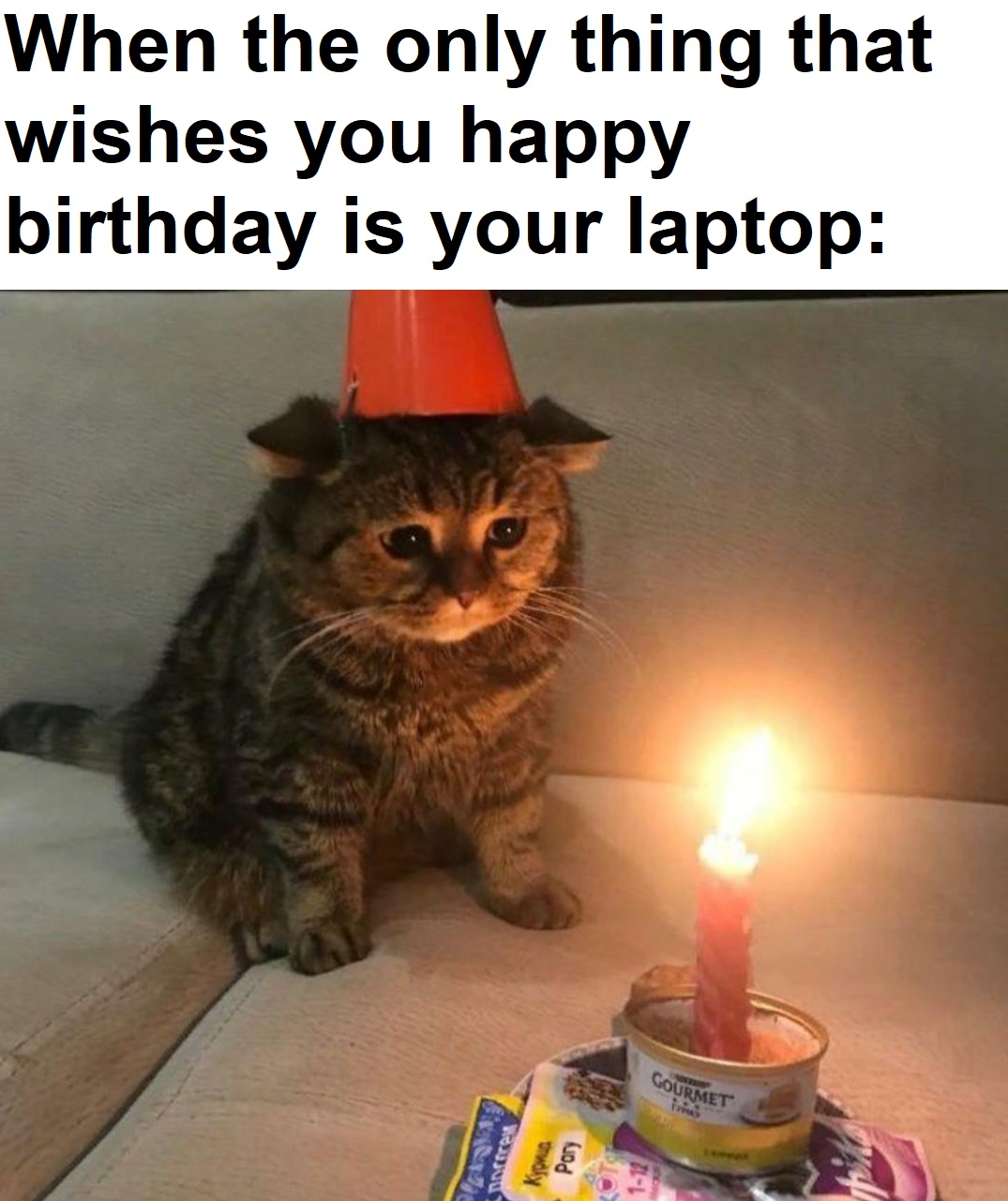 funny gaming memes - cat birthday - When the only thing that wishes you happy birthday is your laptop Gourmet Kyous Pory L