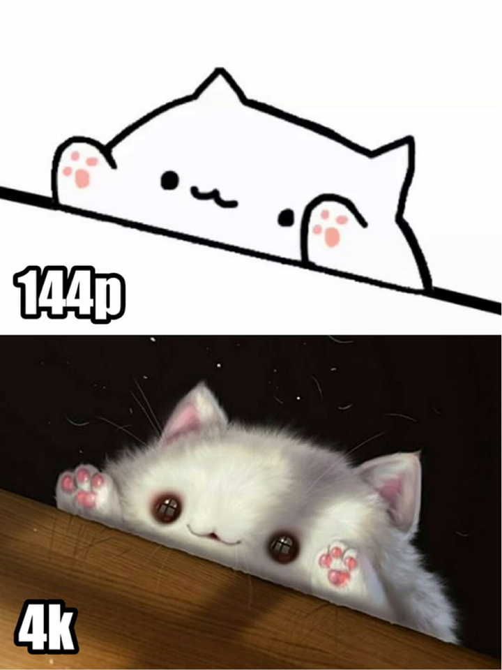 funny gaming memes - bongo cat meme - 144p 4K
