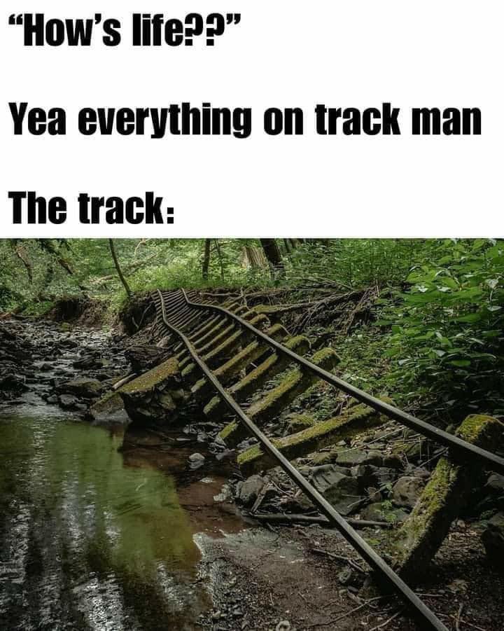 relatable memes - hows life everythings on track - How's life??" Yea everything on track man The track
