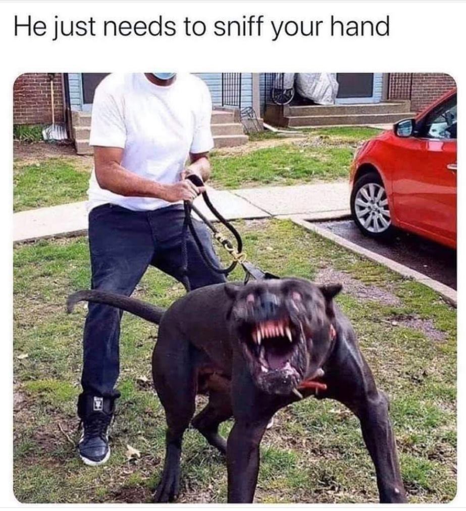 relatable memes - he just needs to sniff your hand meme - He just needs to sniff your hand