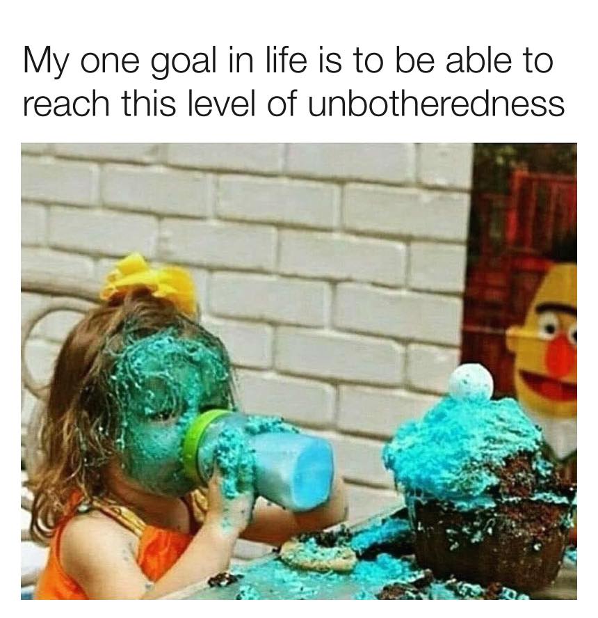 relatable memes - my only goal in life is to reach this level of unbotheredness - My one goal in life is to be able to reach this level of unbotheredness