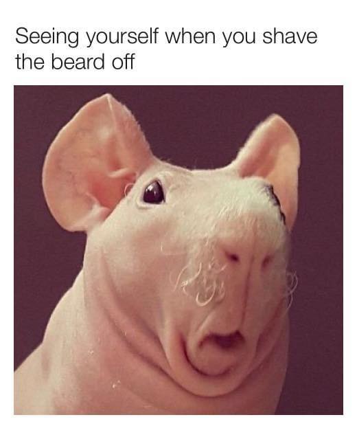 relatable memes - funny beard memes - Seeing yourself when you shave the beard off