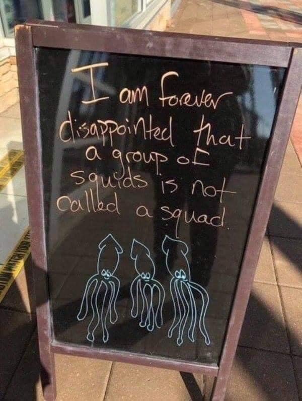 relatable memes - am forever disappointed that a group - I am forever disappointed that squids is is not squad 00 a group of called a
