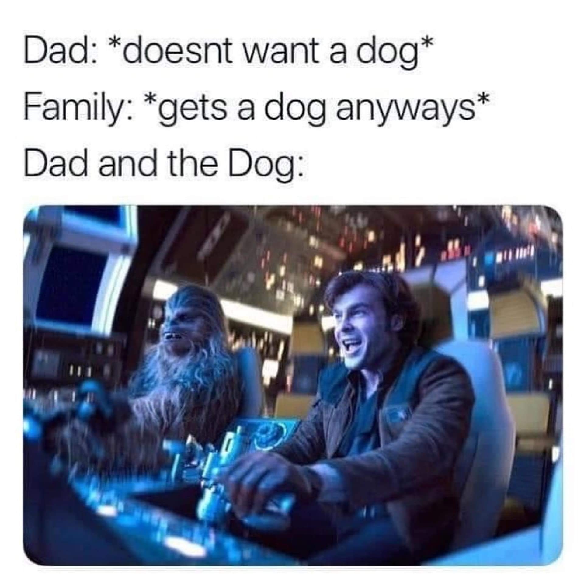 relatable memes - dad and the dog memes - Dad doesnt want a dog Family gets a dog anyways Dad and the Dog
