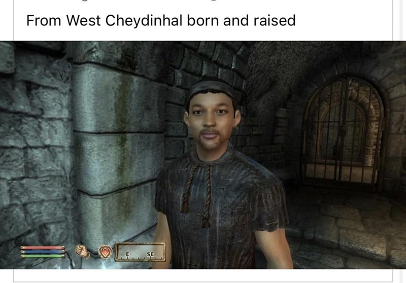 funny gaming memes - screenshot - From West Cheydinhal born and raised Se