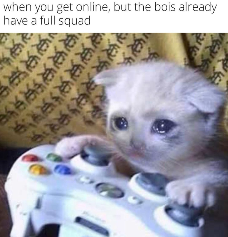 funny gaming memes - sad dank memes - when you get online, but the bois already have a full squad Ee E;