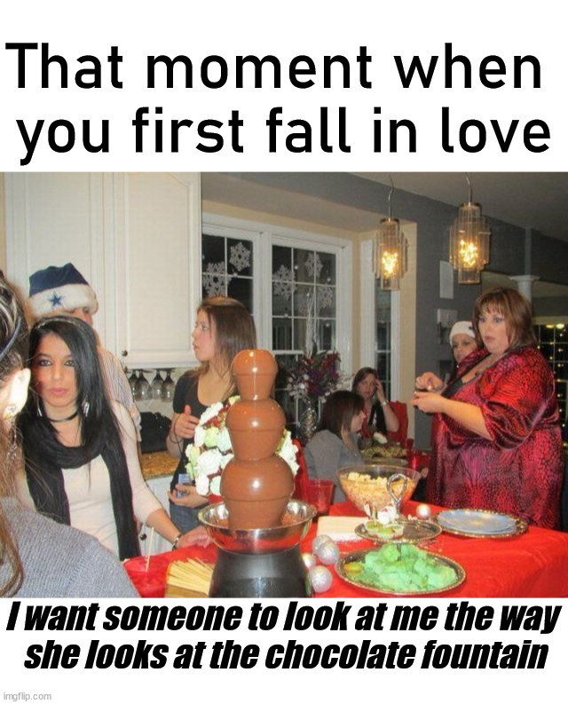funny gaming memes - love at first sight funny - That moment when you first fall in love I want someone to look at me the way she looks at the chocolate fountain imgflip.com