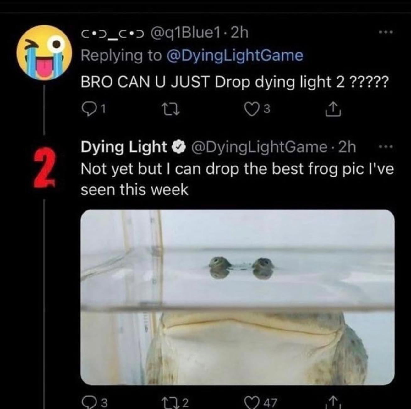 funny gaming memes - dying light 2 frog - COD_C. 2h LightGame Bro Can U Just Drop dying light 2 ????? 27 3 2 Dying Light . 2h Not yet but I can drop the best frog pic I've seen this week Q3 122 47