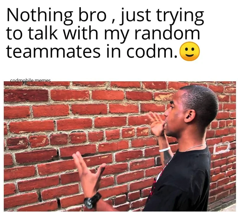 funny gaming memes - zoom fail memes - Nothing bro, just trying to talk with my random teammates in codm. codmobile memes
