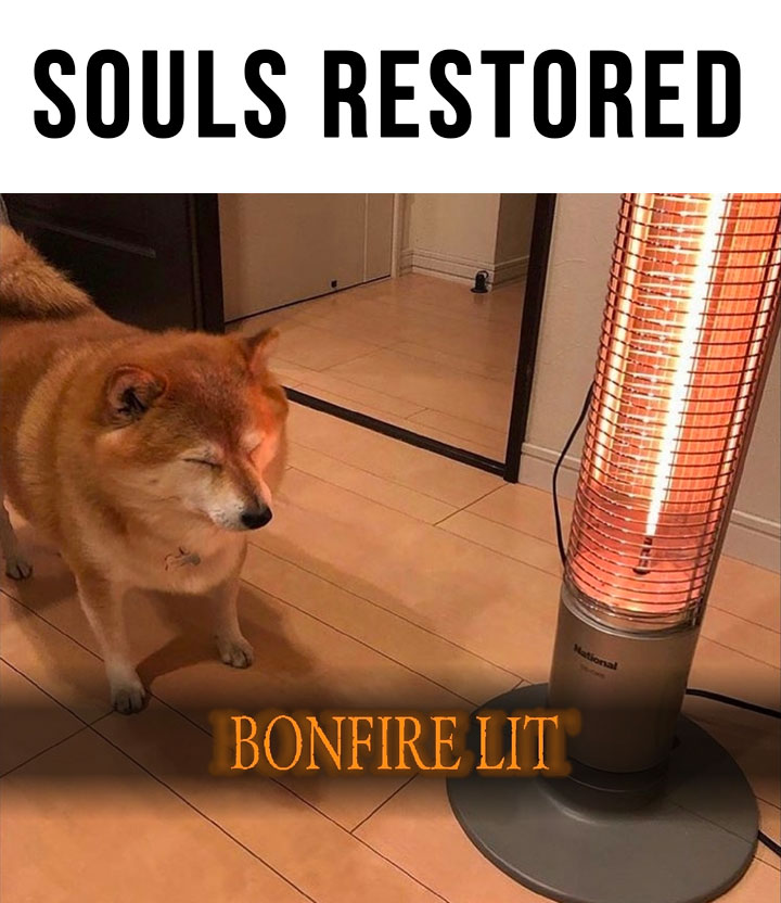 funny gaming memes - bonfire lit dog meme - Souls Restored Hational Bonfire Lit