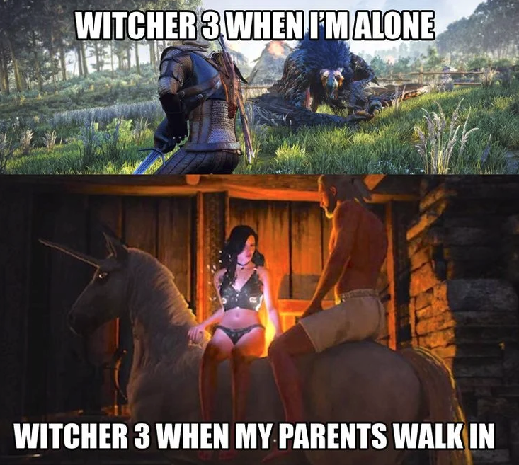 funny gaming memes - witcher 3 wild hunt - Witcher 3 When I'Malone Witcher 3 When My Parents Walk In