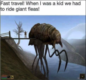 funny gaming memes - morrowind fast travel - Fast travel! When I was a kid we had to ride giant fleas!