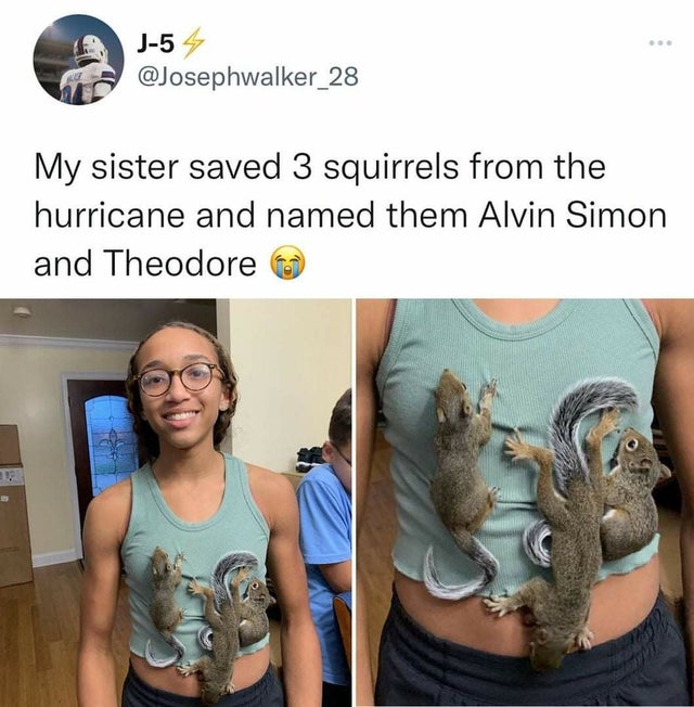 shoulder - J54 My sister saved 3 squirrels from the hurricane and named them Alvin Simon and Theodore
