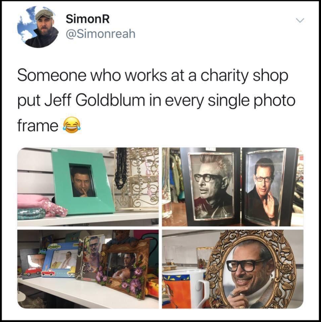 media - SimonR Someone who works at a charity shop put Jeff Goldblum in every single photo frame Pan To Or