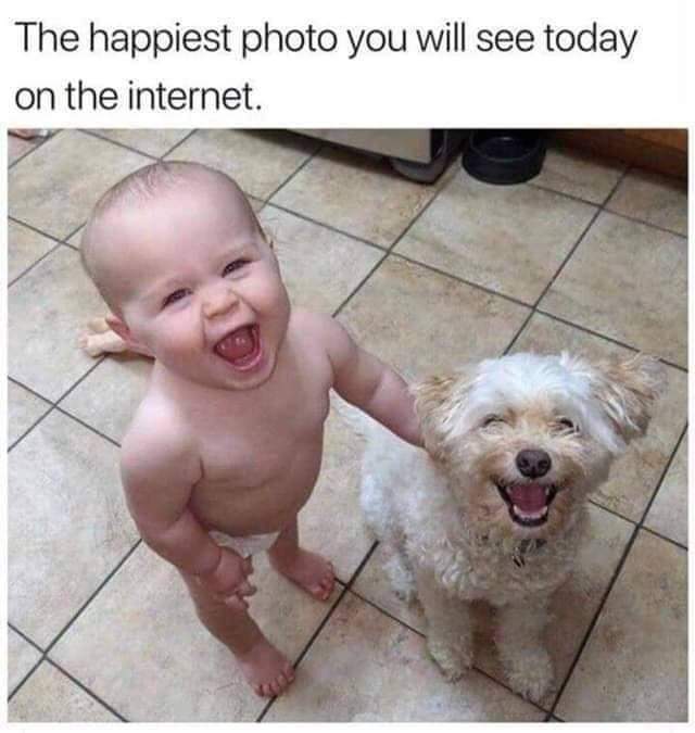 happiest photo you will see today - The happiest photo you will see today on the internet.