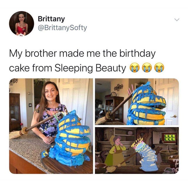 sleeping beauty cake meme - Brittany My brother made me the birthday cake from Sleeping Beauty
