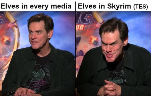 funny gaming memes - jim carrey grinch - Elves in every media Elves in Skyrim Tes Og