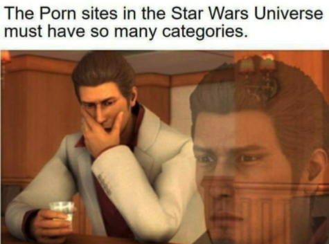 funny gaming memes --  kiryu meme - The Porn sites in the Star Wars Universe must have so many categories.