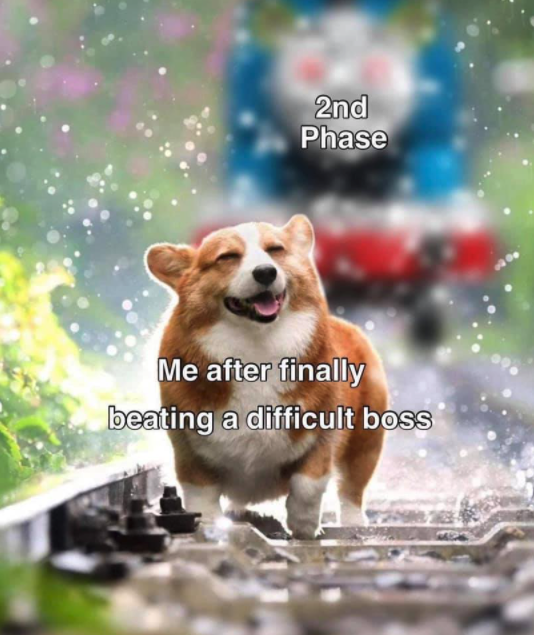 funny gaming memes - cute corgi - 2nd Phase Me after finally beating a difficult boss