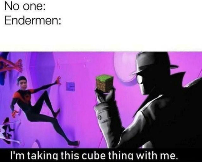 funny gaming memes - minecraft memes - No one Endermen I'm taking this cube thing with me.