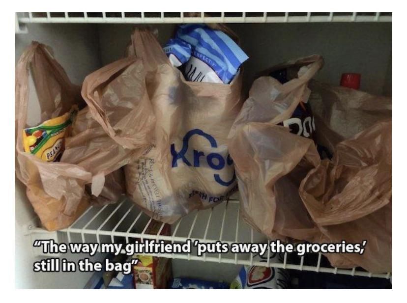 mildly infuriating images - Girlfriend - Fect Kroj Per Re Erectele The Y For "The way my girlfriend 'puts away the groceries' still in the bag