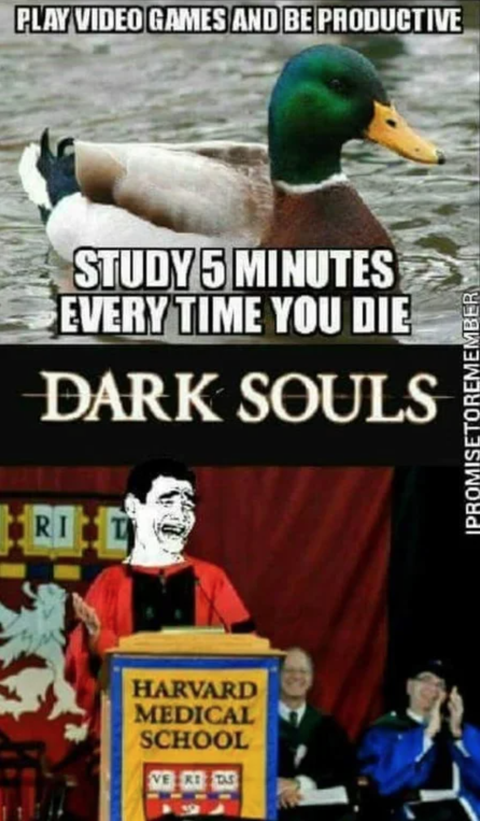 funny gaming memes - dark souls memes - Play Video Games And Be Productive STUDY5 Minutes Every Time You Die Dark Souls Ipromisetoremember Ri Harvard Medical School O De