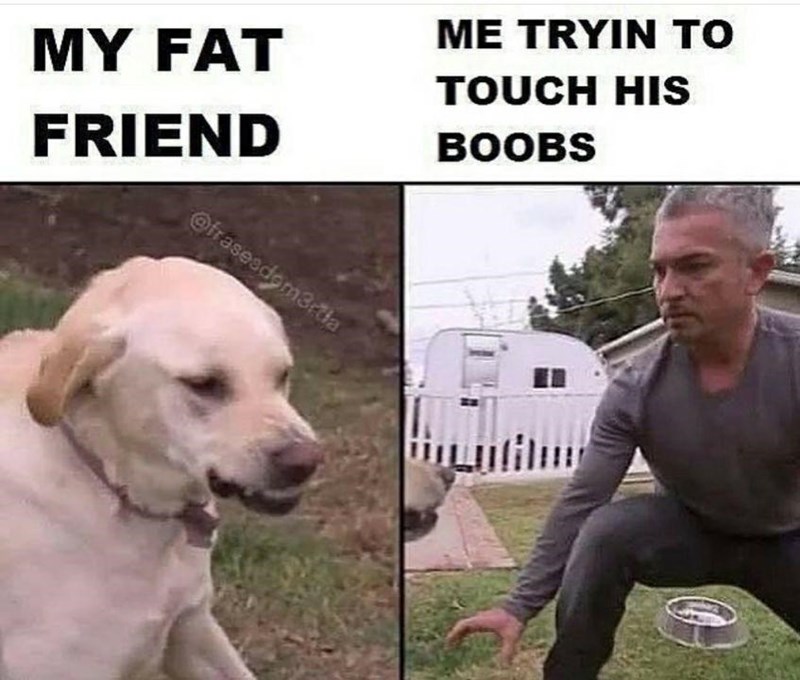 funny gaming memes - my fat friend meme - My Fat Me Tryin To Touch His Boobs Friend